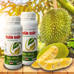 Phân bón vi lượng THẦN GIÁP-TẨY GHẺ-XANH TRÁI-SÁNG TRÁI