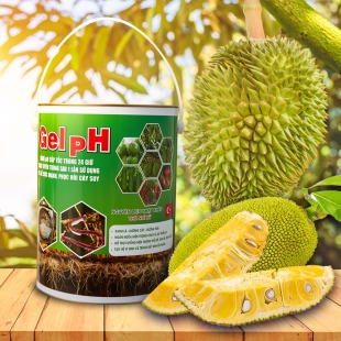 Gel pH can 5 lít -Nâng pH cấp tốc-tiêu diệt tuyến trùng rễ