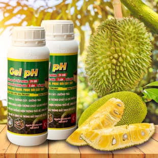 Gel pH chai 1 lít - Nâng pH cấp tốc - tIÊU DIỆT TUYẾN TRÙNG RỄ